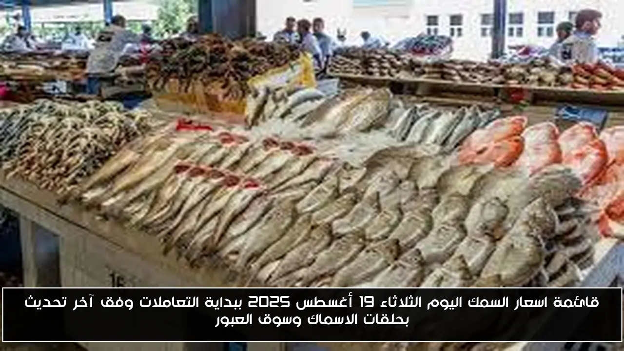 قائمة اسعار السمك اليوم الثلاثاء 19 أغسطس 2025 ببداية التعاملات وفق آخر تحديث بحلقات الاسماك وسوق العبور