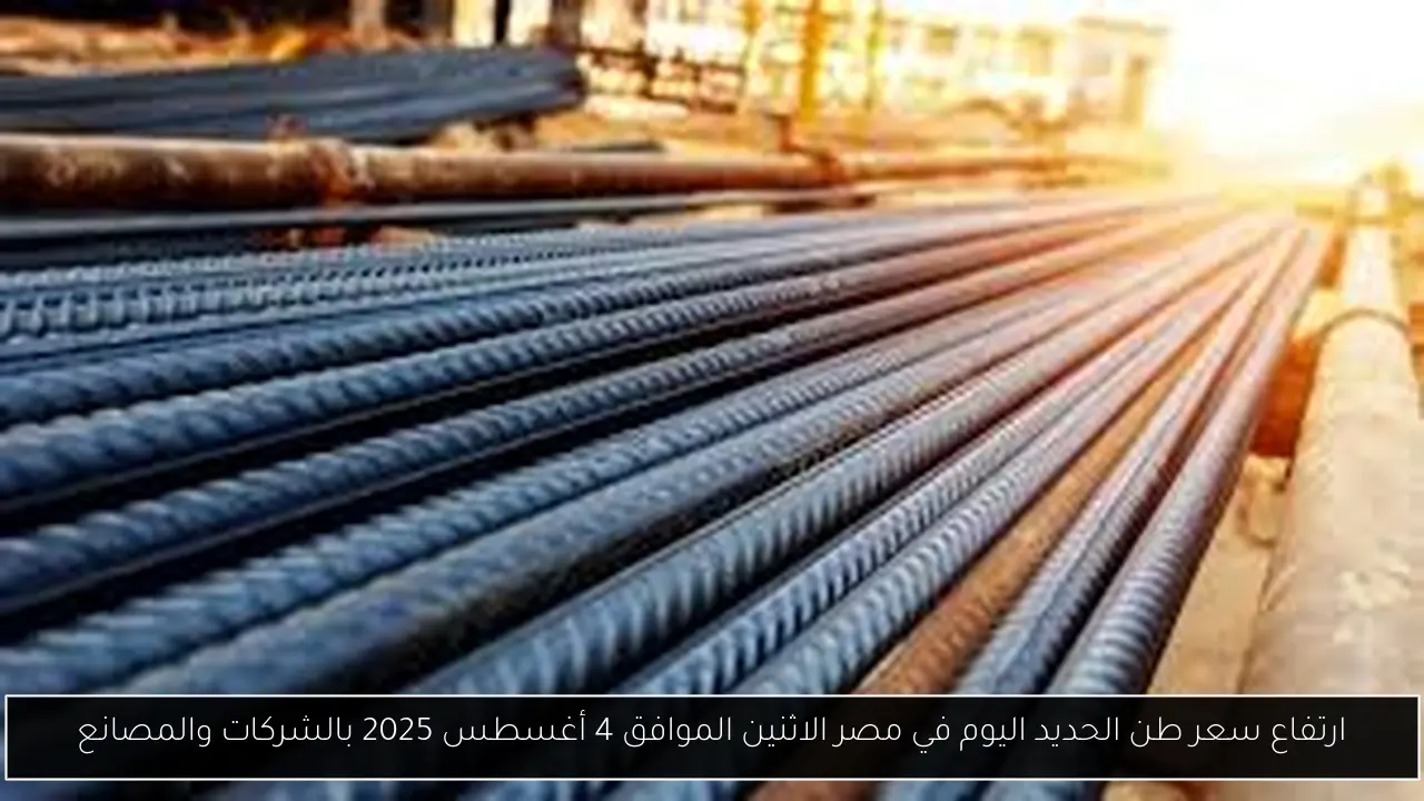 ارتفاع سعر طن الحديد اليوم في مصر الاثنين الموافق 4 أغسطس 2025 بالشركات والمصانع
