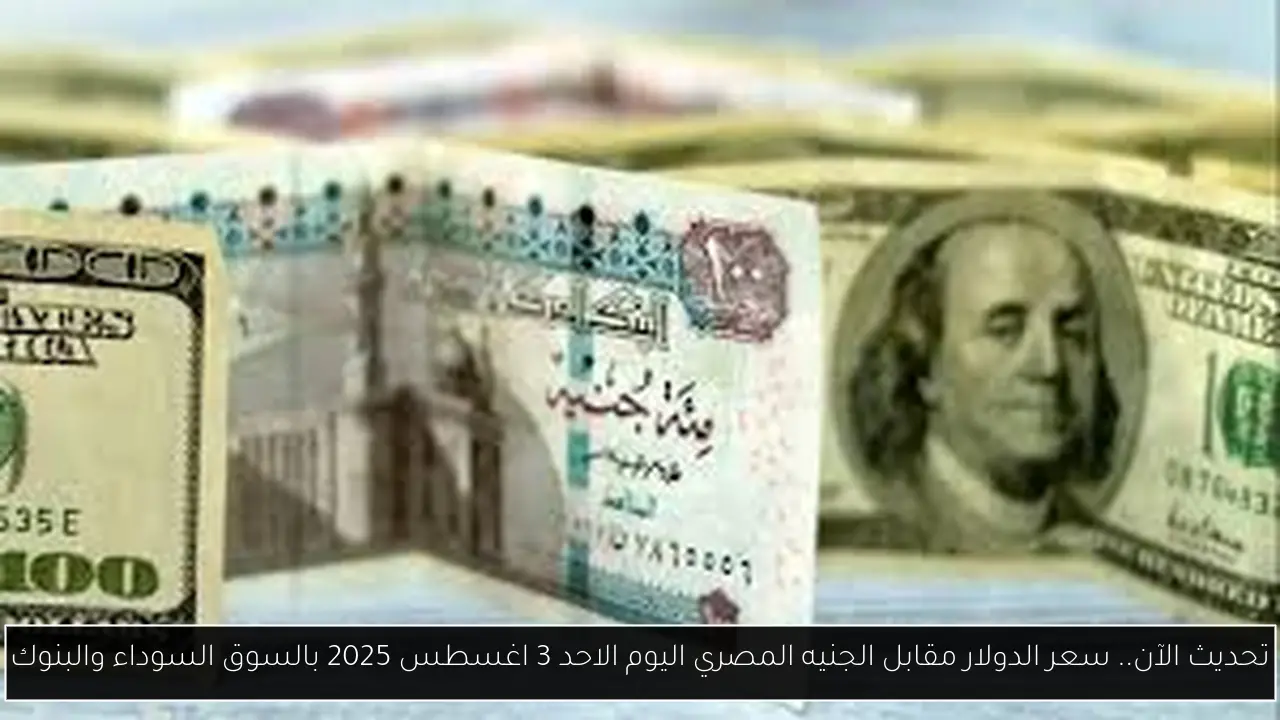 تحديث الآن.. سعر الدولار مقابل الجنيه المصري اليوم الاحد 3 اغسطس 2025 بالسوق السوداء والبنوك