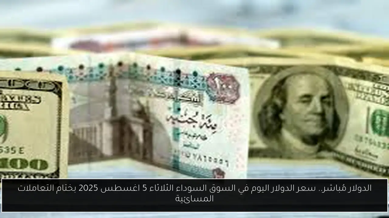 الدولار مُباشر.. سعر الدولار اليوم في السوق السوداء الثلاثاء 5 اغسطس 2025 بختام التعاملات المسائية