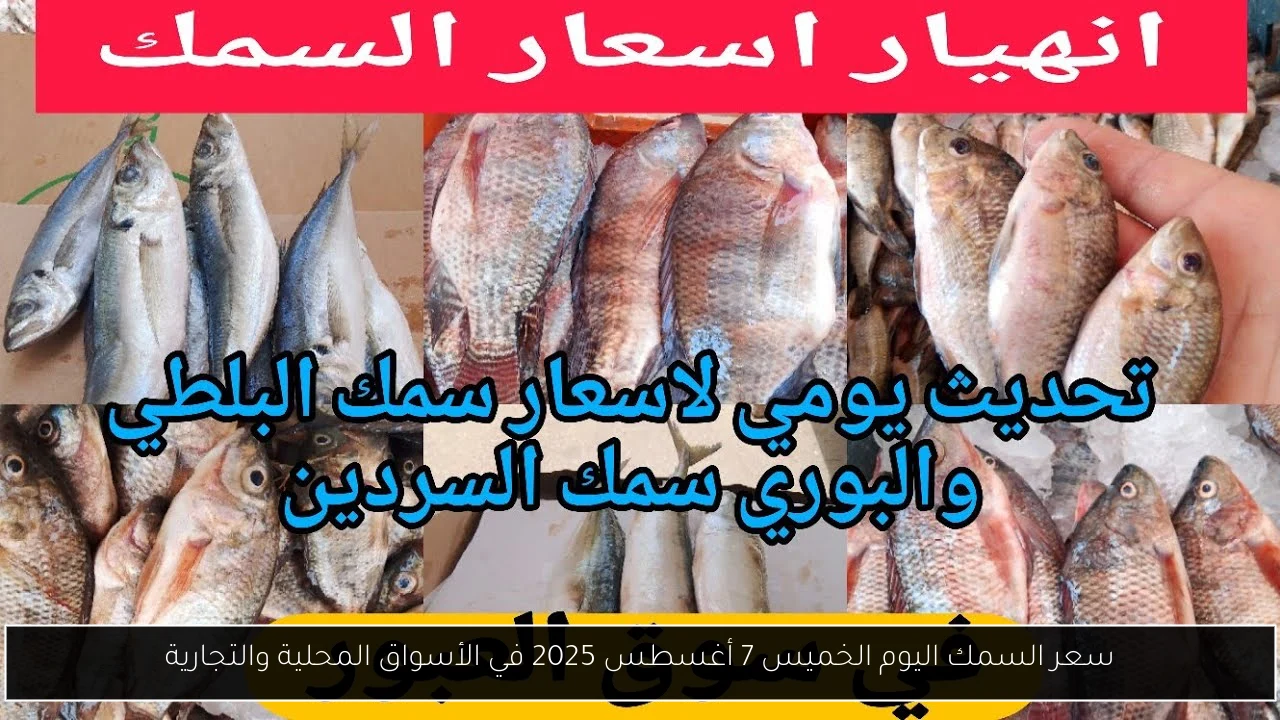 سعر السمك اليوم الخميس 7 أغسطس 2025 في الأسواق المحلية والتجارية