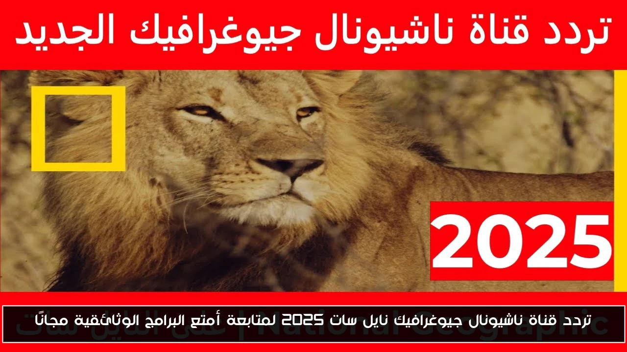 تردد قناة ناشيونال جيوغرافيك نايل سات 2025 لمتابعة أمتع البرامج الوثائقية مجانًا