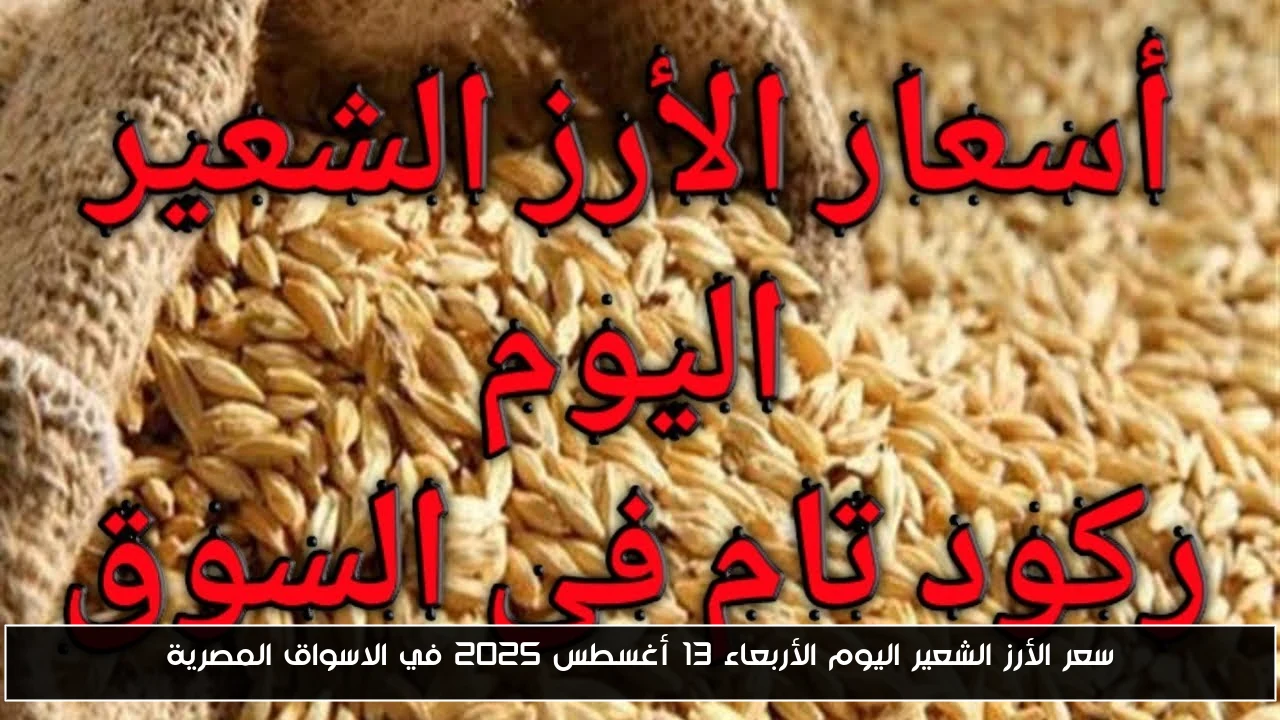 سعر الأرز الشعير اليوم الأربعاء 13 أغسطس 2025 في الاسواق المصرية