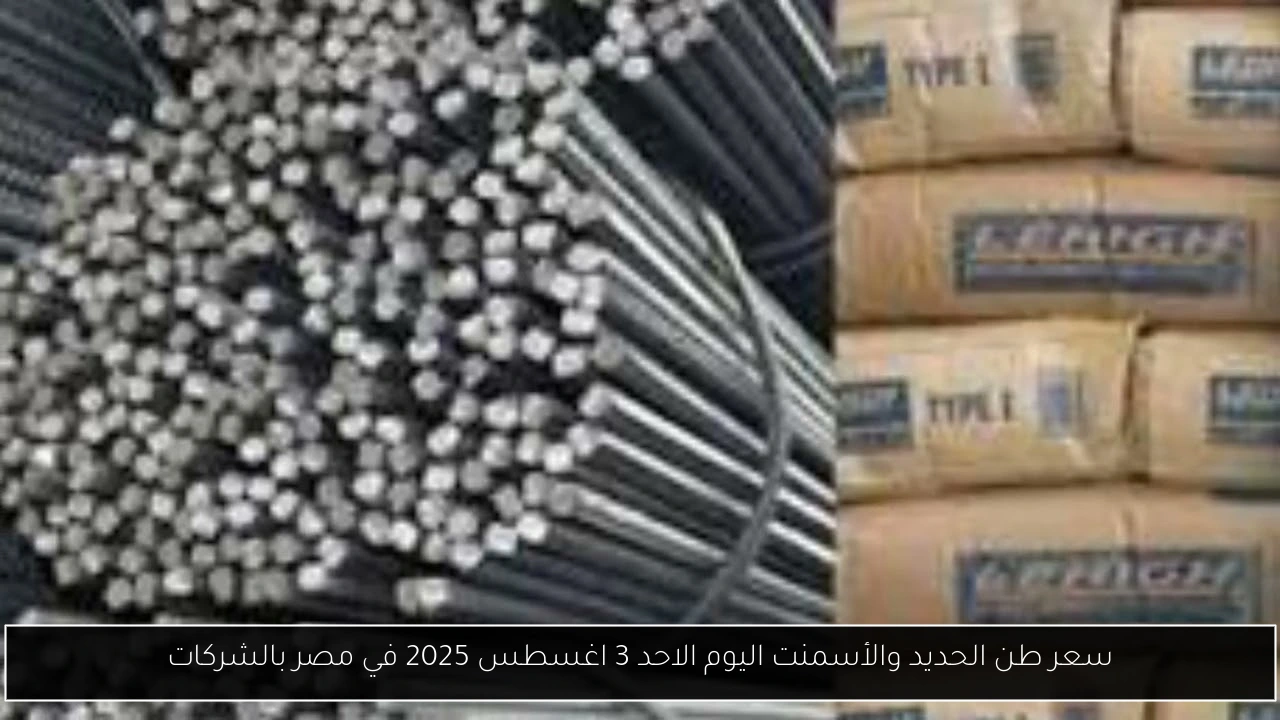 سعر طن الحديد والأسمنت اليوم الاحد 3 اغسطس 2025 في مصر بالشركات