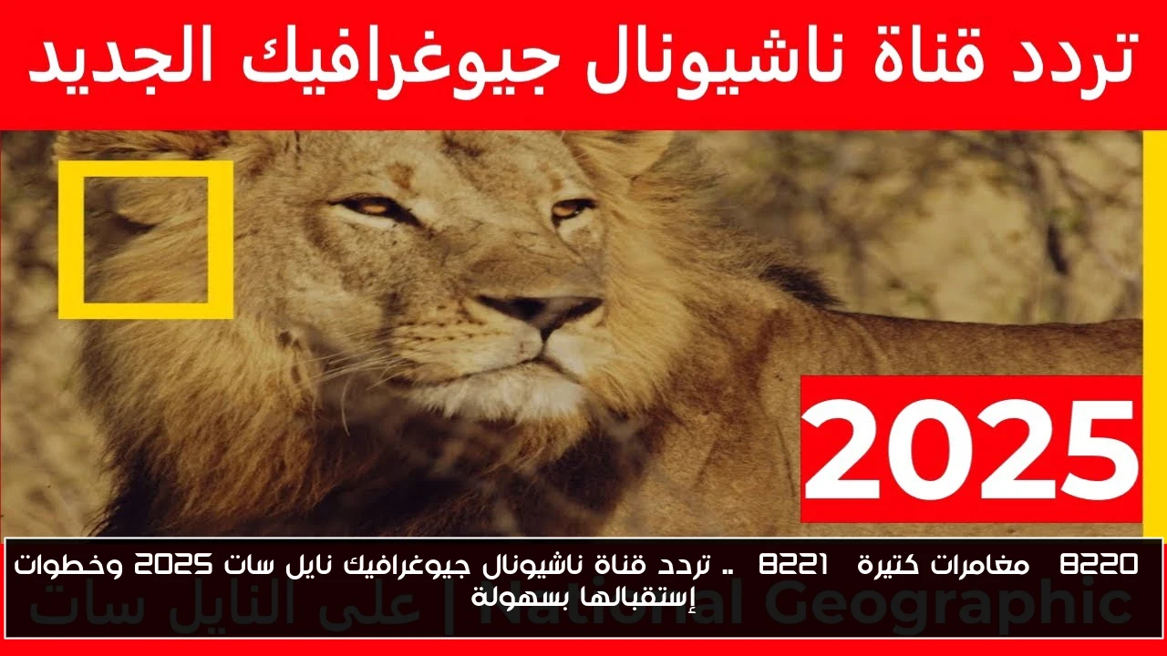 “مغامرات كتيرة” .. تردد قناة ناشيونال جيوغرافيك نايل سات 2025 وخطوات إستقبالها بسهولة
