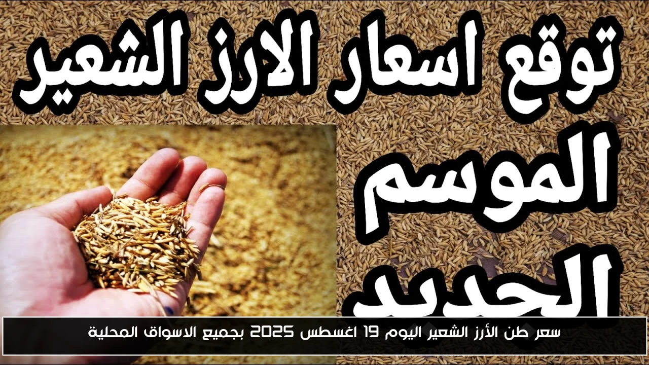 سعر طن الأرز الشعير اليوم 19 اغسطس 2025 بجميع الاسواق المحلية