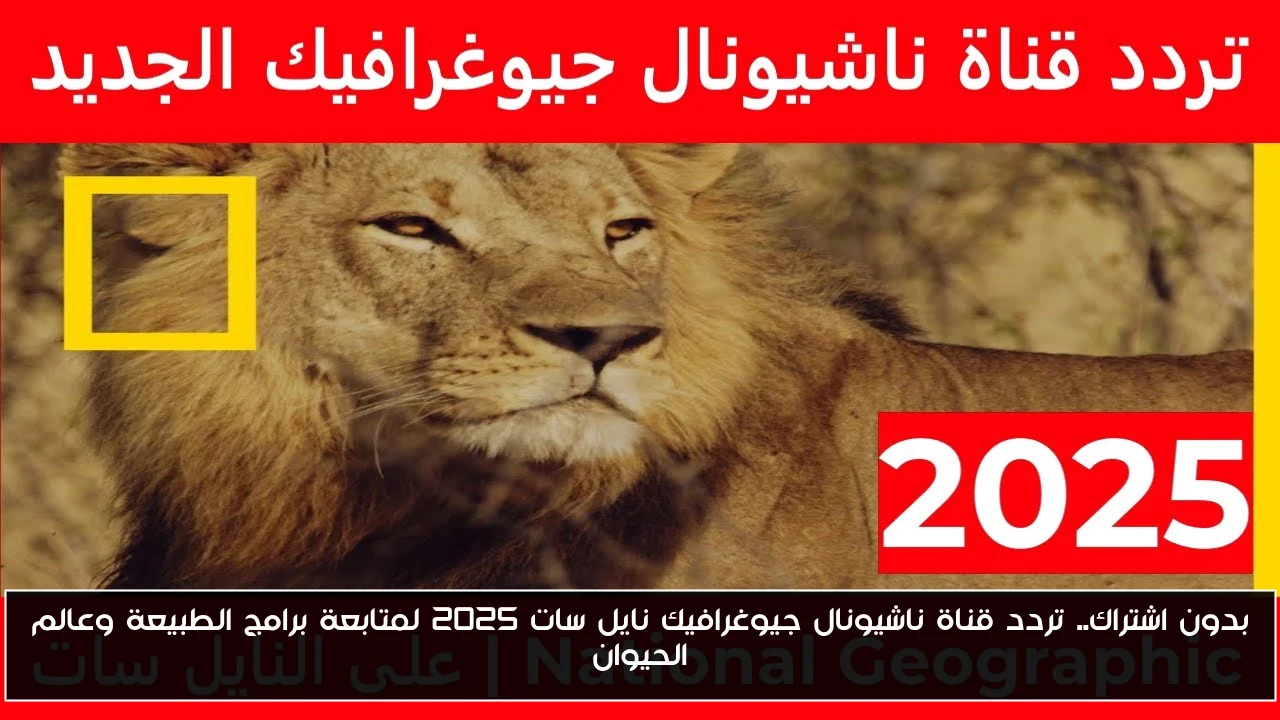 بدون اشتراك.. تردد قناة ناشيونال جيوغرافيك نايل سات 2025 لمتابعة برامج الطبيعة وعالم الحيوان