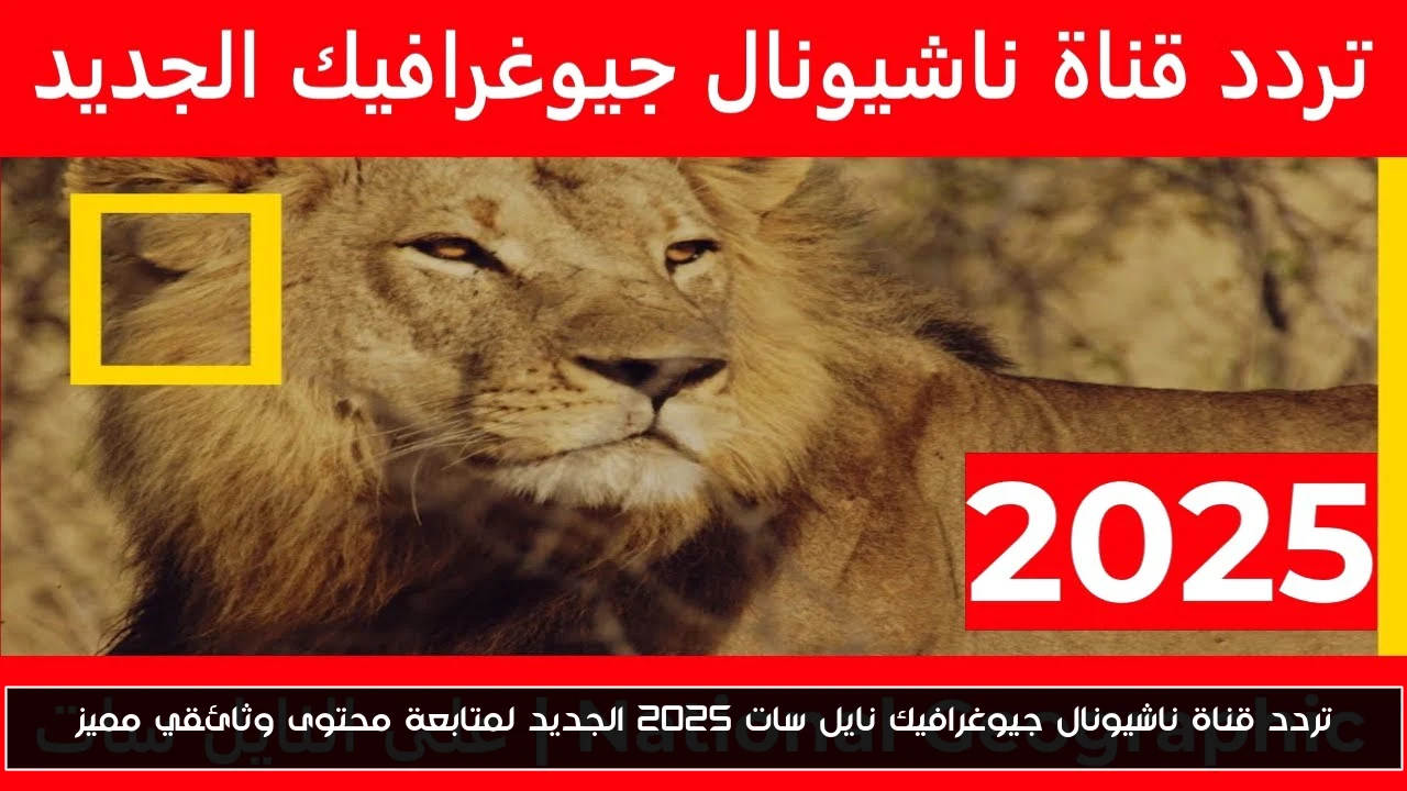 تردد قناة ناشيونال جيوغرافيك نايل سات 2025 الجديد لمتابعة محتوى وثائقي مميز
