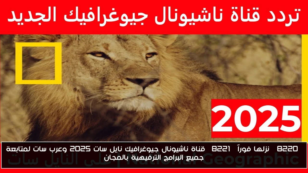 “نزلها فوراً” قناة ناشيونال جيوغرافيك نايل سات 2025 وعرب سات لمتابعة جميع البرامج الترفيهية بالمجان