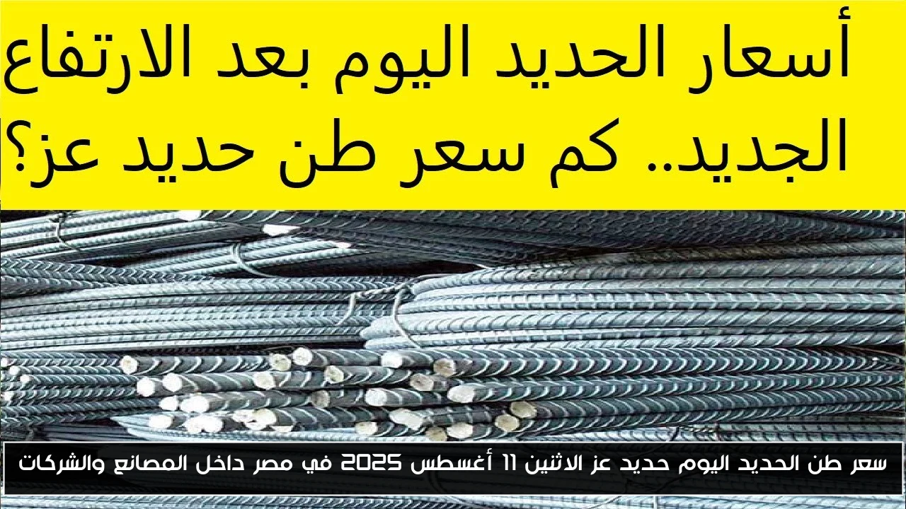 سعر طن الحديد اليوم حديد عز الاثنين 11 أغسطس 2025 في مصر داخل المصانع والشركات