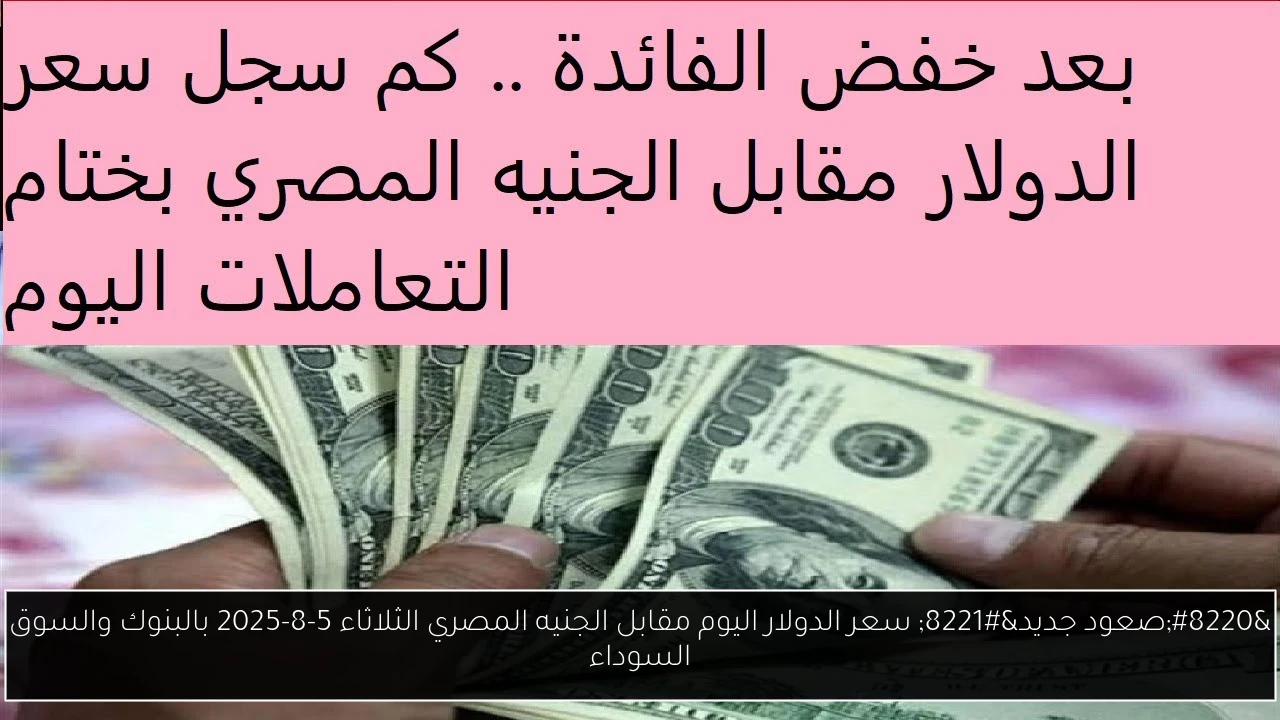“صعود جديد” سعر الدولار اليوم مقابل الجنيه المصري الثلاثاء 5-8-2025 بالبنوك والسوق السوداء