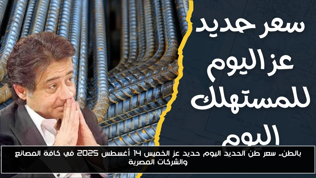 بالطن.. سعر طن الحديد اليوم حديد عز الخميس 14 أغسطس 2025 في كافة المصانع والشركات المصرية