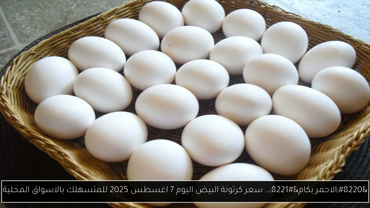 “الاحمر بكام”.. سعر كرتونة البيض اليوم 7 اغسطس 2025 للمتسهلك بالاسواق المحلية