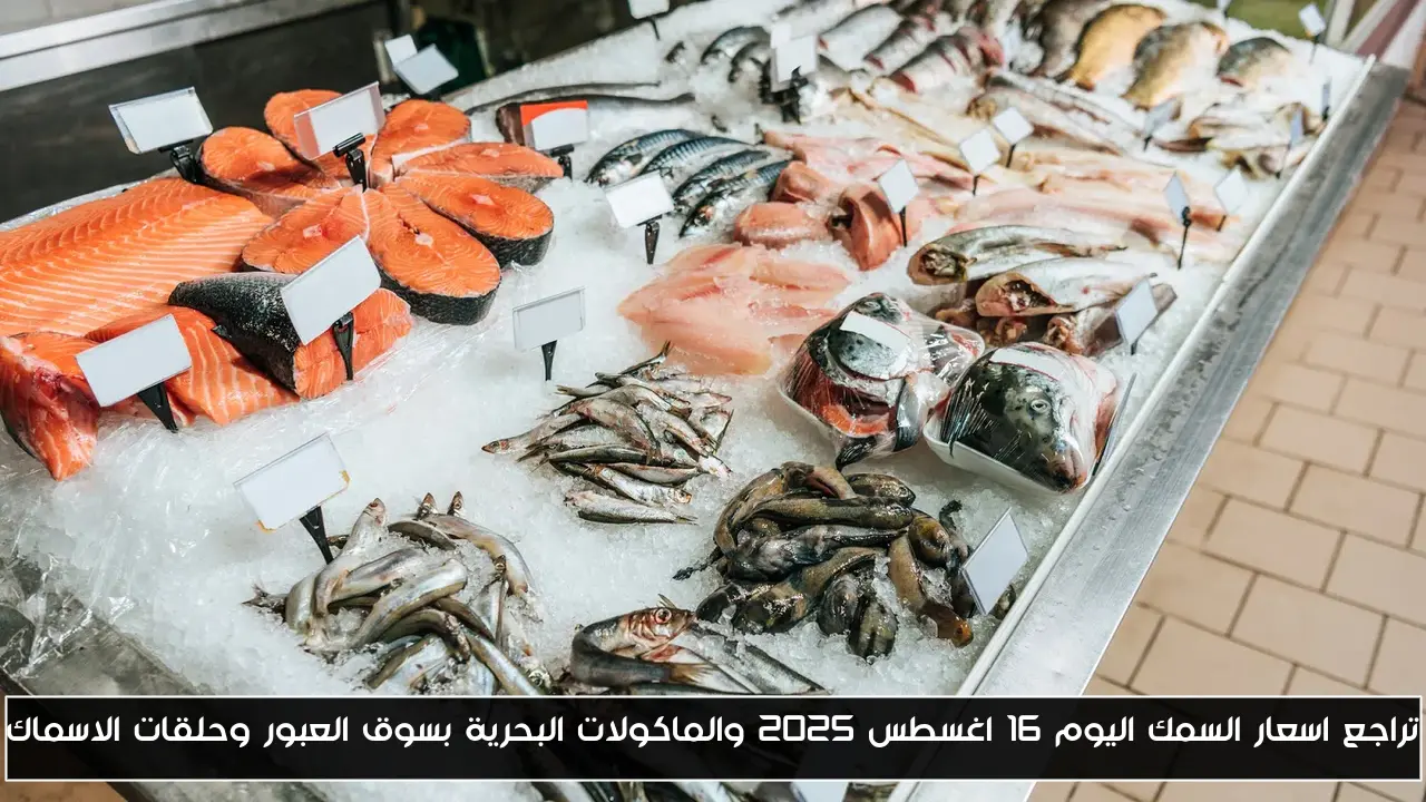 تراجع اسعار السمك اليوم 16 اغسطس 2025 والماكولات البحرية بسوق العبور وحلقات الاسماك