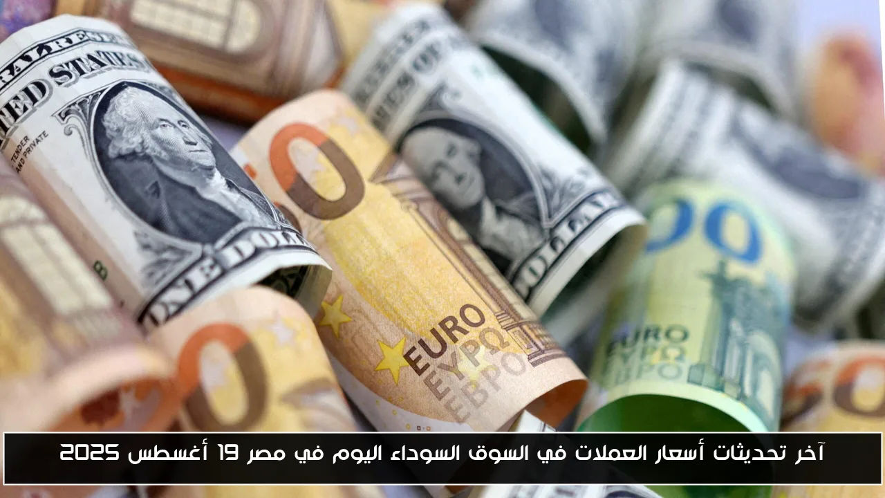 آخر تحديثات أسعار العملات في السوق السوداء اليوم في مصر 19 أغسطس 2025
