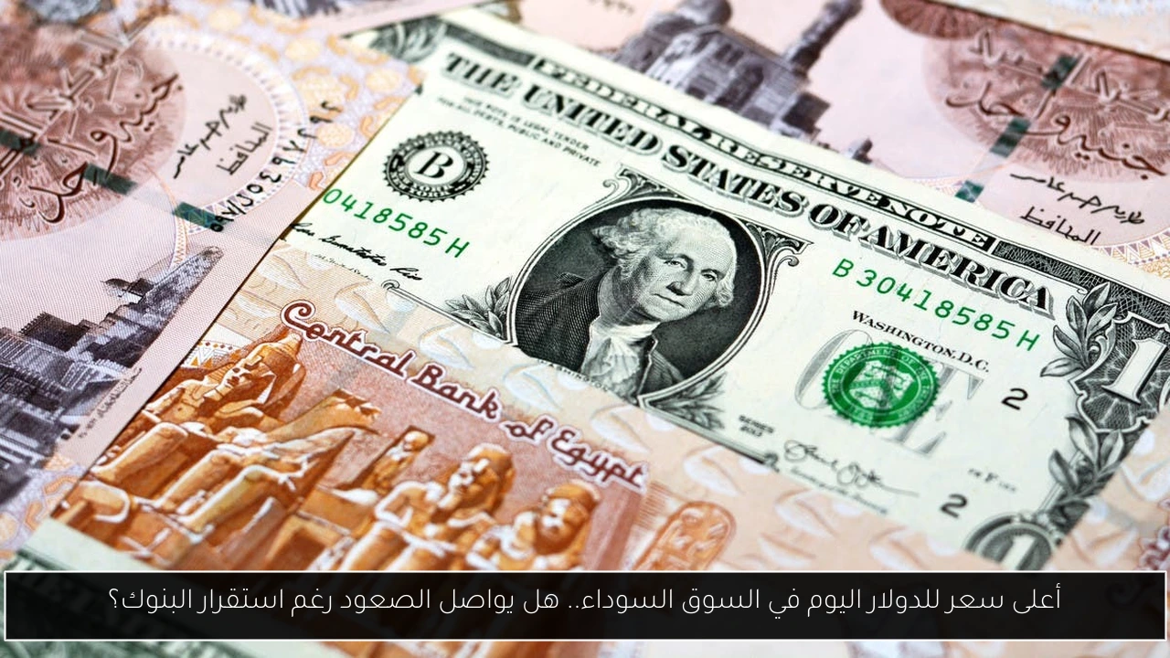 أعلى سعر للدولار اليوم في السوق السوداء.. هل يواصل الصعود رغم استقرار البنوك؟