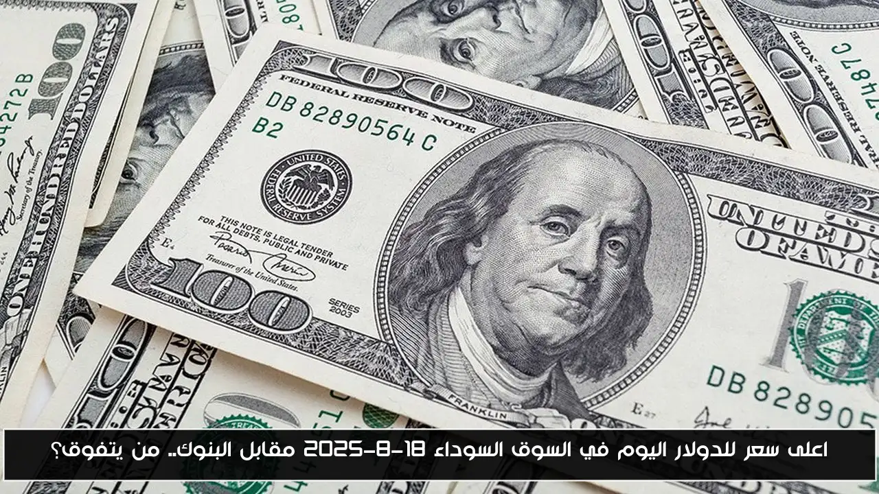 استقرار العمله الخضراء.. اعلى سعر للدولار اليوم في السوق السوداء 18-8-2025 مقابل البنوك.. من يتفوق؟