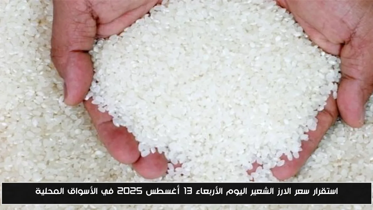 استقرار سعر الارز الشعير اليوم الأربعاء 13 أغسطس 2025 في الأسواق المحلية