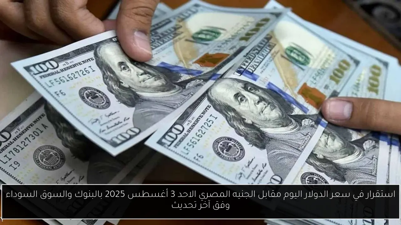 استقرار في سعر الدولار اليوم مقابل الجنيه المصري الاحد 3 أغسطس 2025 بالبنوك والسوق السوداء وفق آخر تحديث