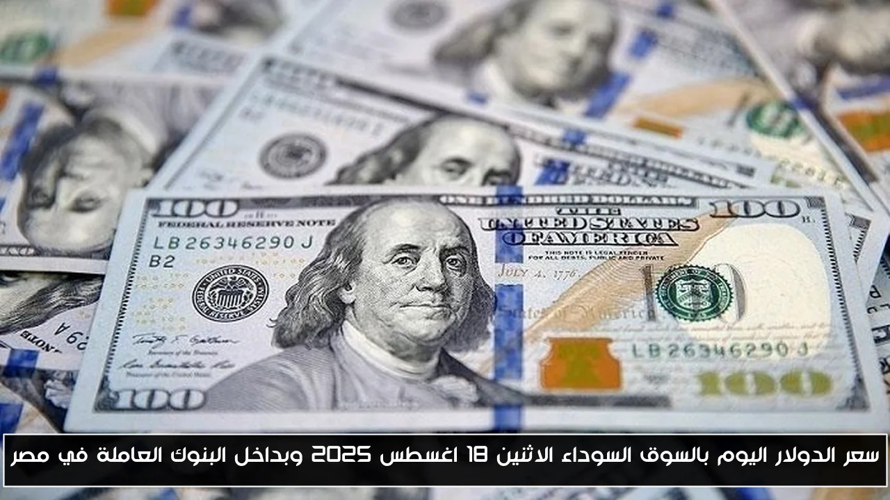 سعر الدولار اليوم بالسوق السوداء الاثنين 18 اغسطس 2025 وبداخل البنوك العاملة في مصر