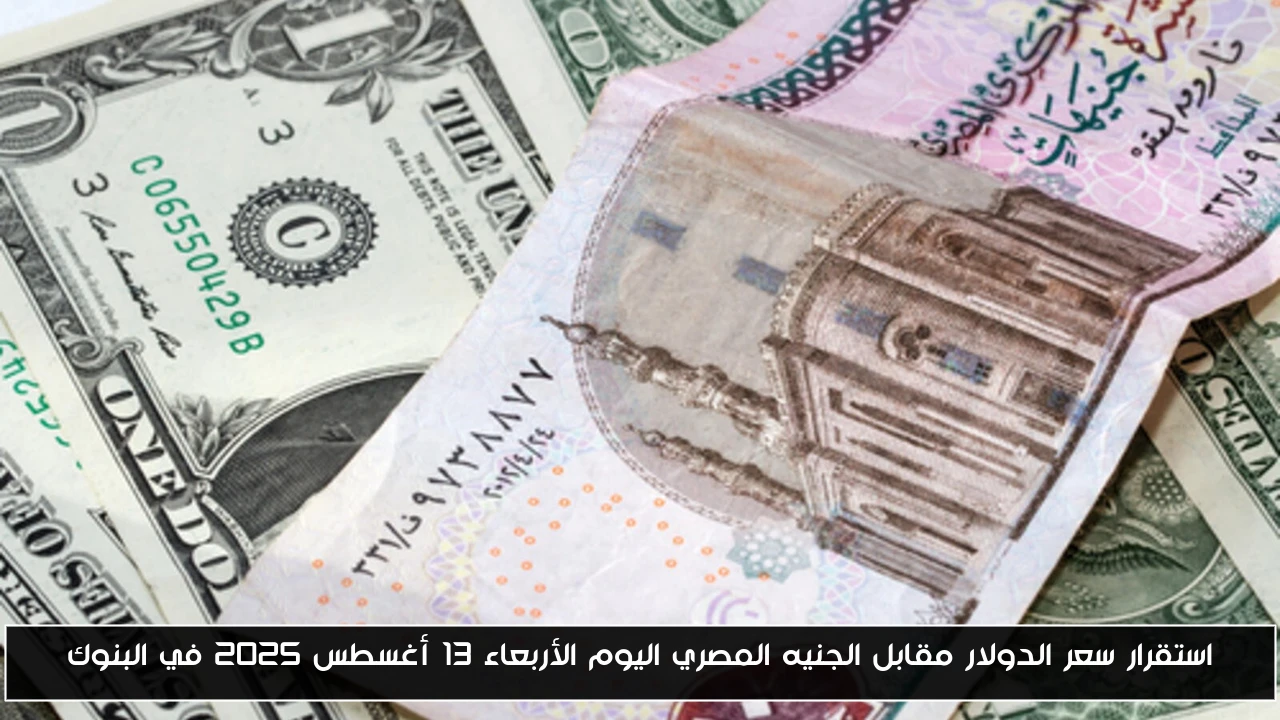 استقرار سعر الدولار مقابل الجنيه المصري اليوم الأربعاء 13 أغسطس 2025 في البنوك