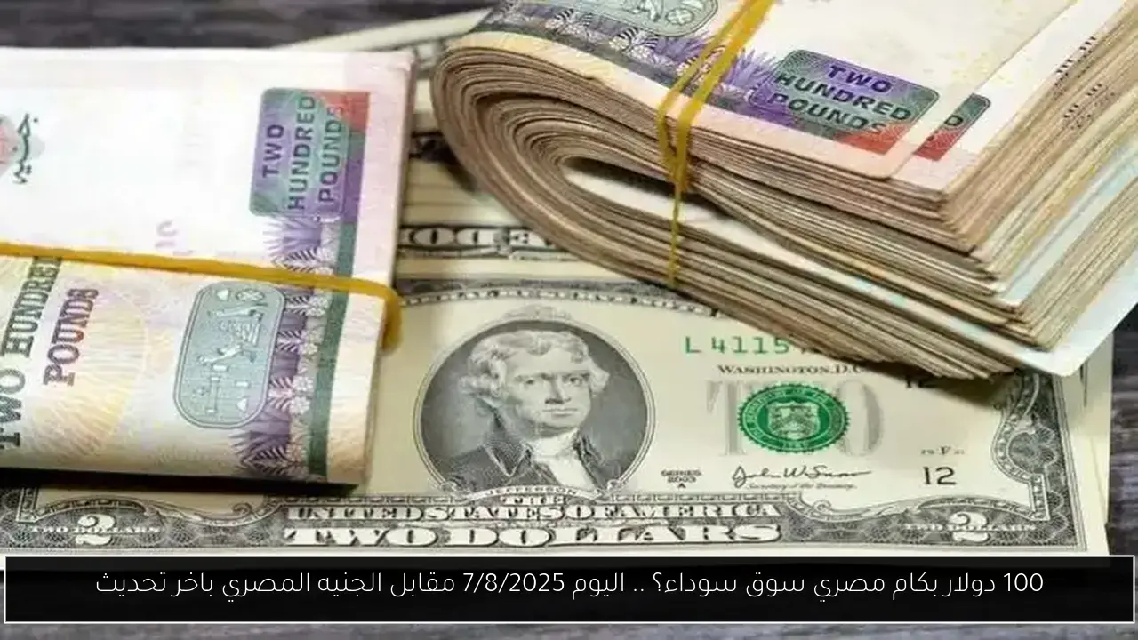 100 دولار بكام مصري سوق سوداء؟ .. اليوم 7/8/2025 مقابل الجنيه المصري باخر تحديث