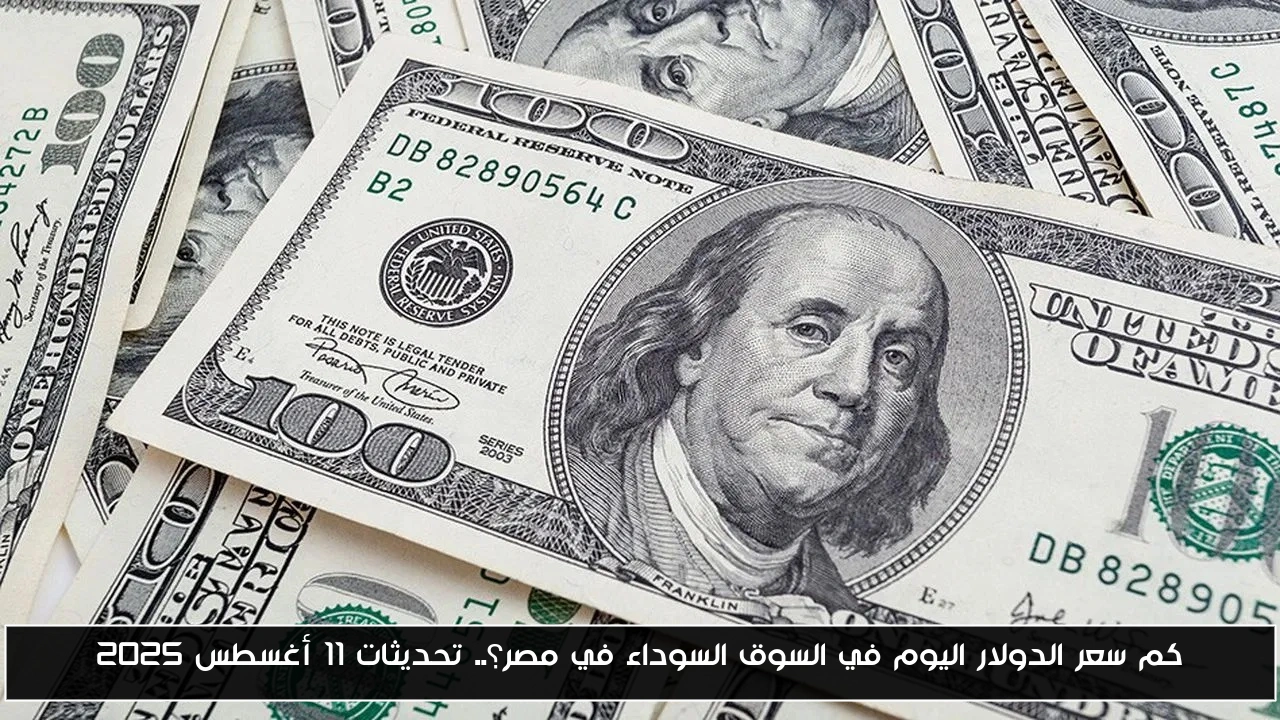 كم سعر الدولار اليوم في السوق السوداء في مصر؟.. تحديثات 11 أغسطس 2025