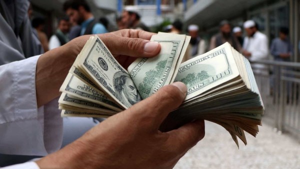 استقرار الدولار في السوق