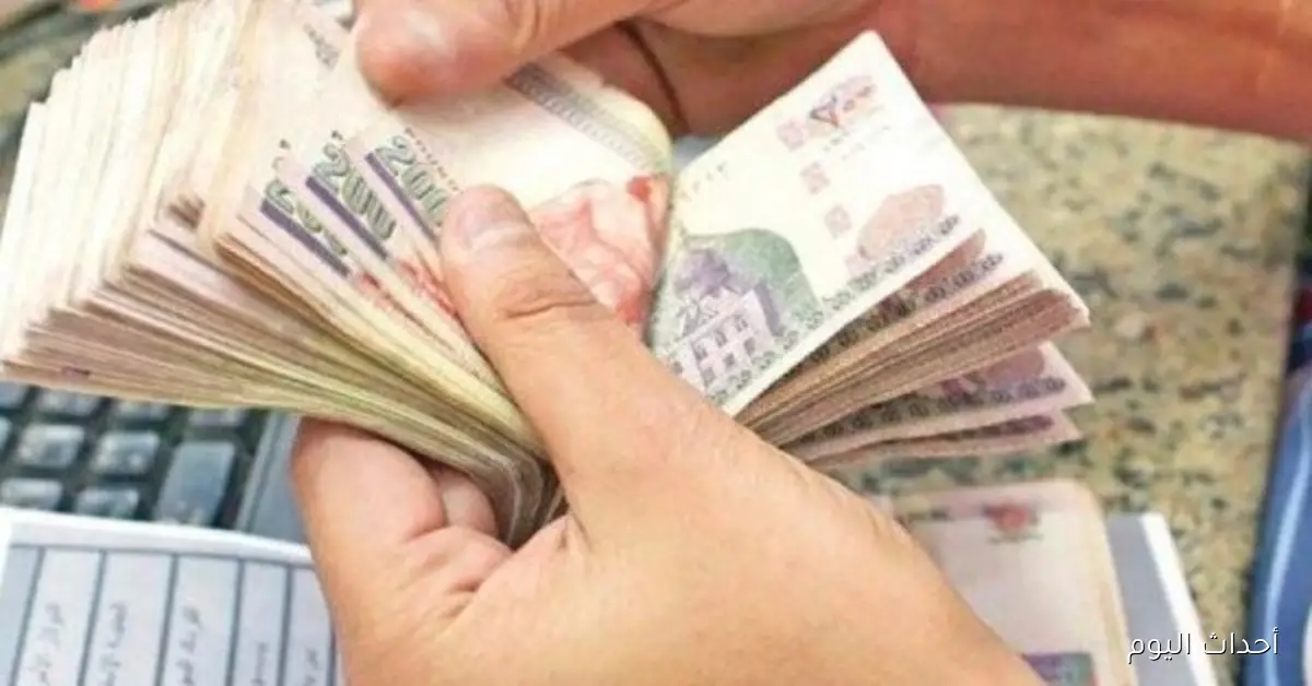 صرف المرتبات الشهرية للعاملين بالدولة بشكل مبكر مع التفاصيل