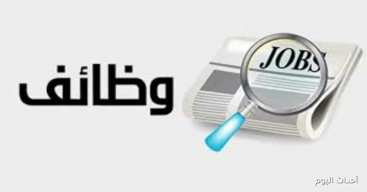 فرصة عمل جديدة: “الشباب والرياضة” تتيح فرص توظيف في 4 محافظات