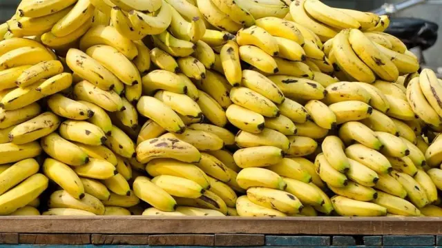 سعر الموز البلدي