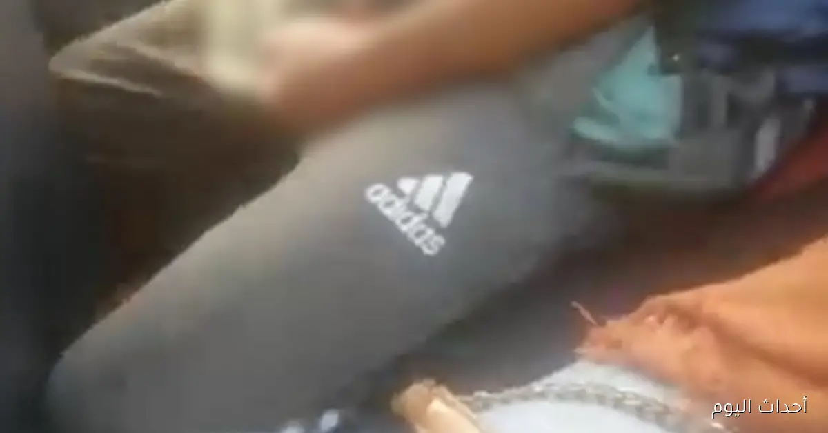 فيديو يكشف لحظة القبض على متحرش بفتاة داخل ميكروباص في الإسكندرية