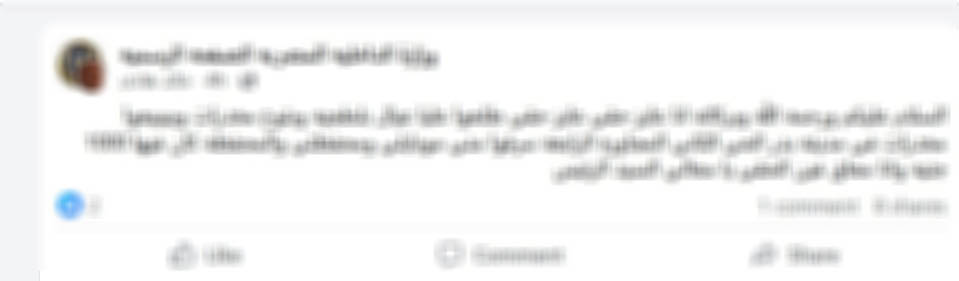 صورة توضيحية 2