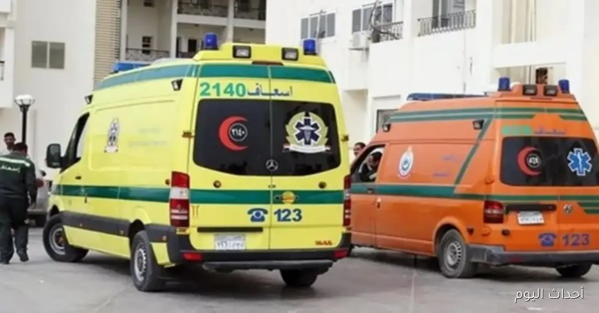 إصابة 6 أفراد في حادث انقلاب سيارة على طريق أسيوط – الفرافرة