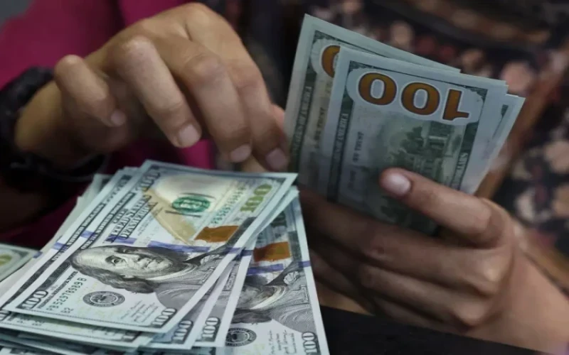استقرار سعر الدولار