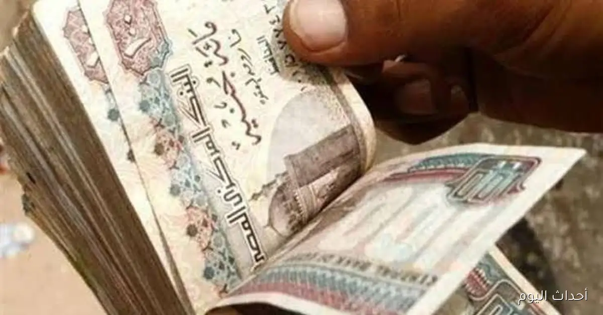 الأهلي ومصر: تحقيق أفضل العوائد من الاستثمار في الشهادات البنكية
