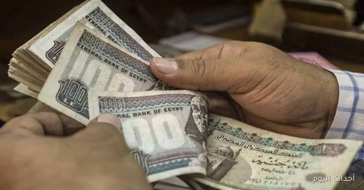المالية تكشف عن موعد صرف مرتبات سبتمبر للمعلمين