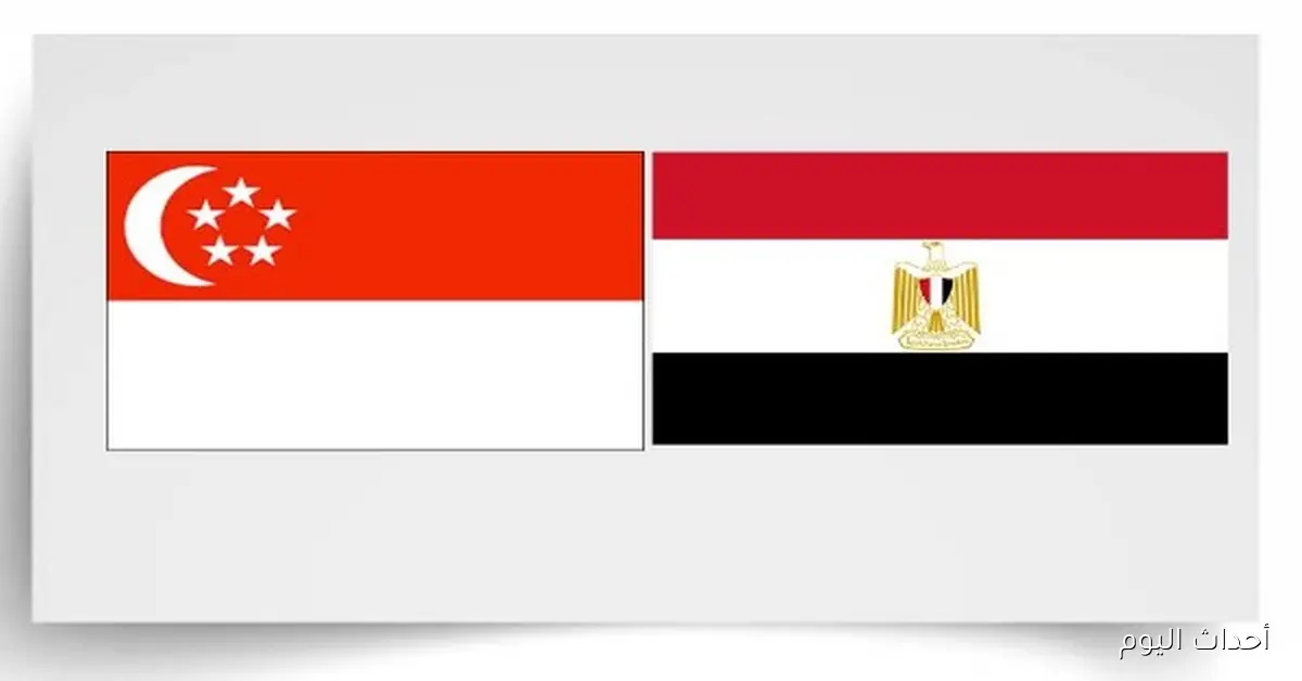زيارة رئيس سنغافورة لمصر تعزز التعاون الاقتصادي وتفتح آفاق جديدة