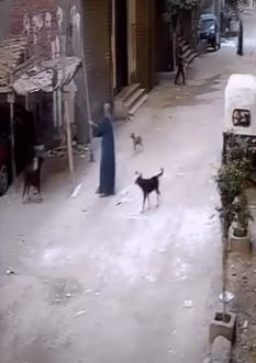 صورة توضيحية للواقعة