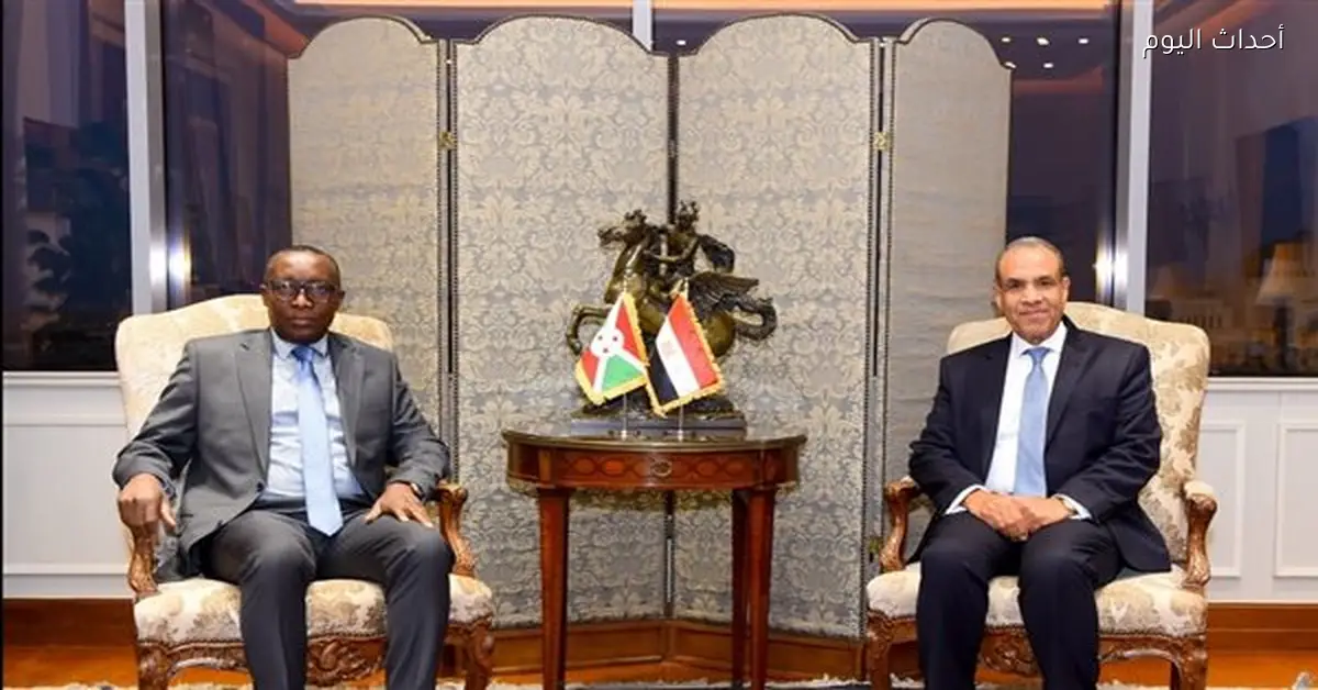 وزير الخارجية يؤكد على ضرورة استعادة الشمولية في مبادرة حوض النيل الجنوبي والشرقي