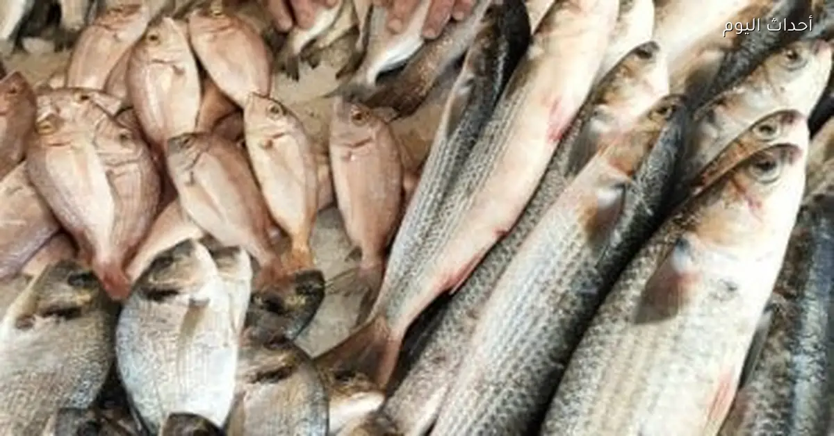 أسعار الأسماك في أسواق الإسكندرية اليوم تشمل البلطى