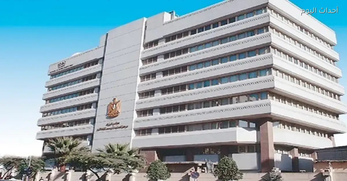 مؤشرات الصادرات غير البترولية تشهد تحسنًا بين يناير ونوفمبر 2025 وفقًا لمجلس الوزراء