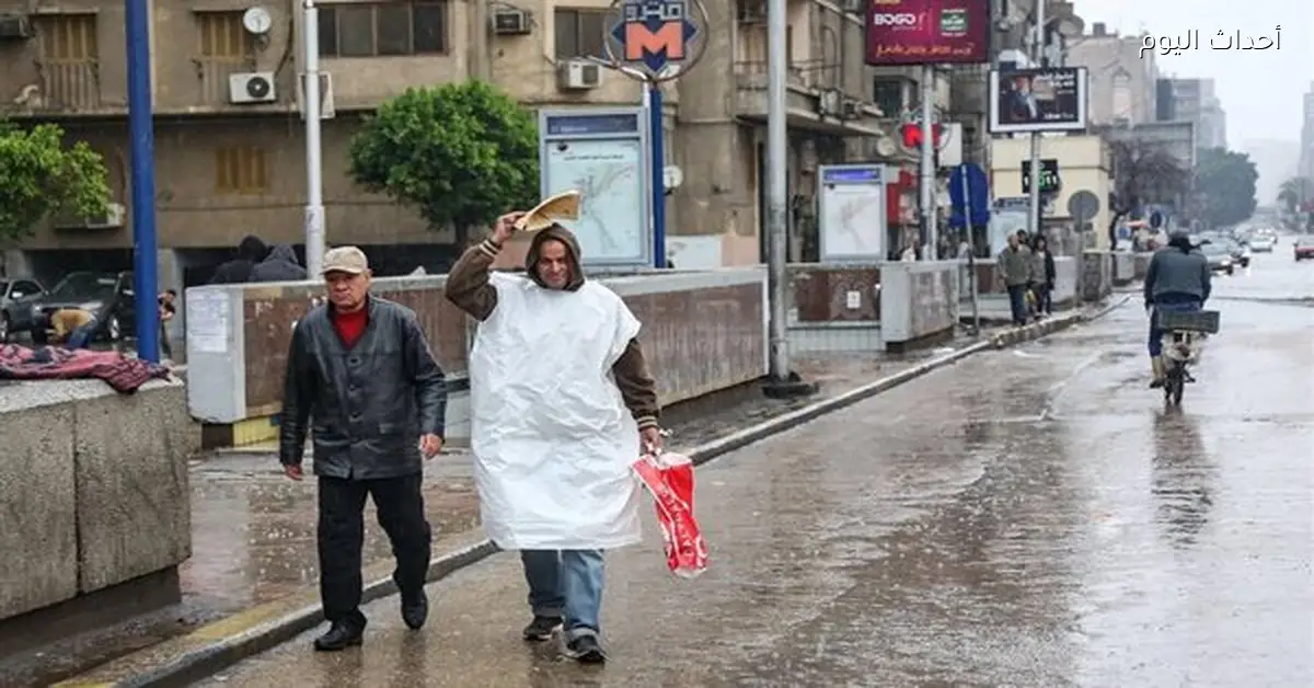 حالة الطقس غدا في القاهرة والإسكندرية: أمطار وبرودة شديدة
