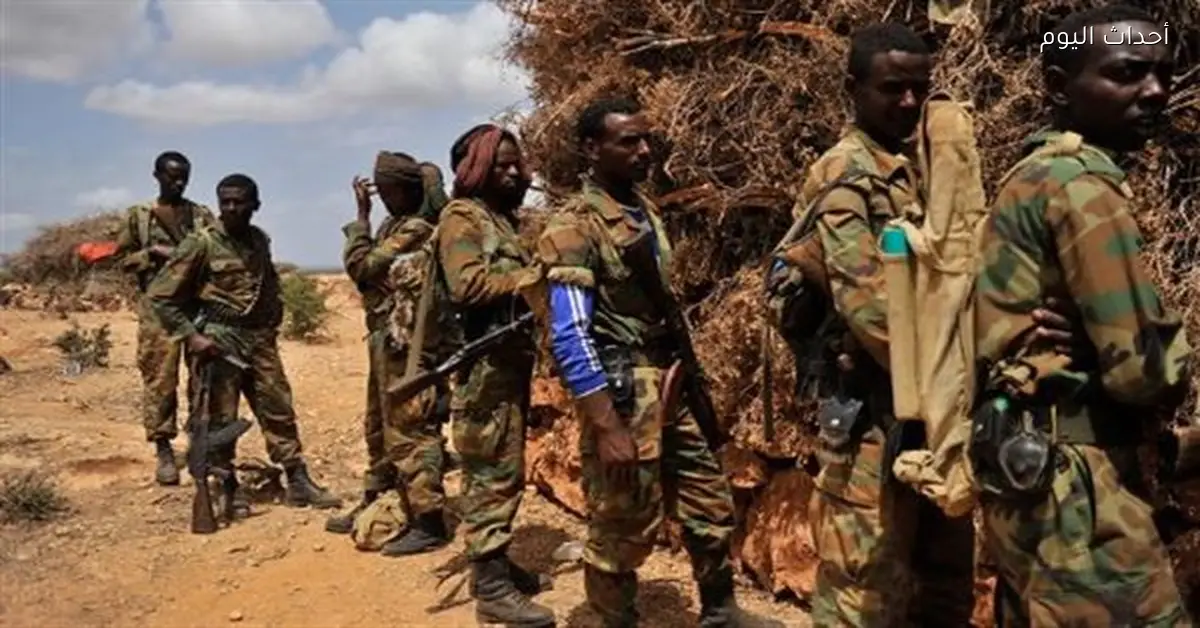 تحذيرات من تأثير انفصال إقليم أرض الصومال على استقرار إثيوبيا