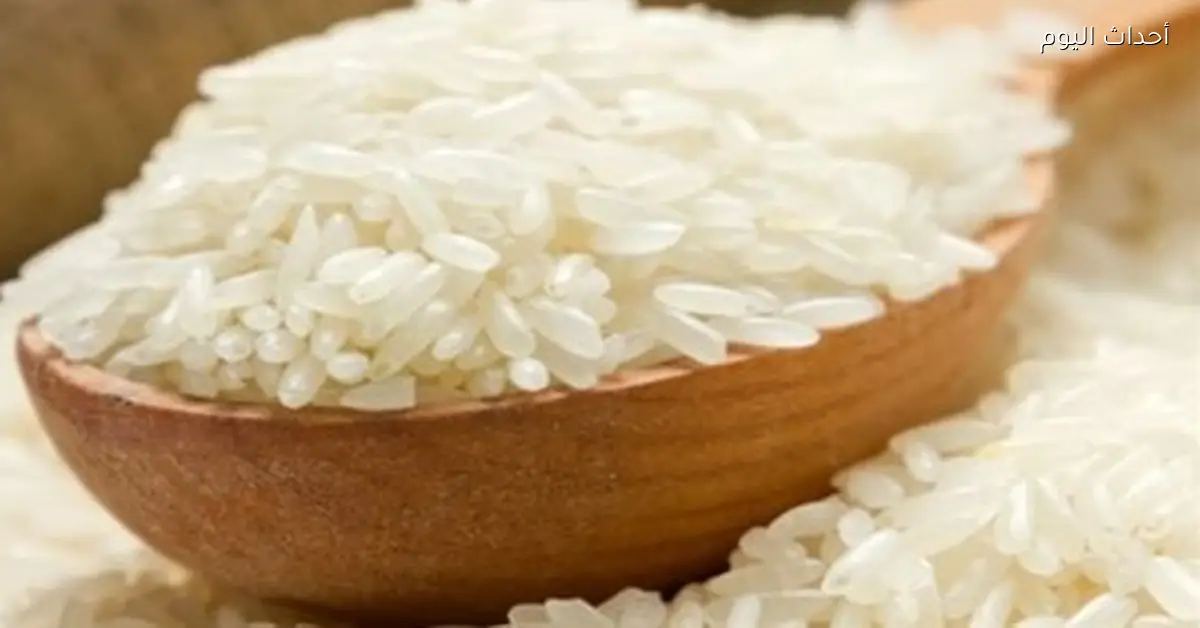 أسعار الأرز الشعير اليوم الاثنين 29 ديسمبر 2025 في الأسواق المصرية