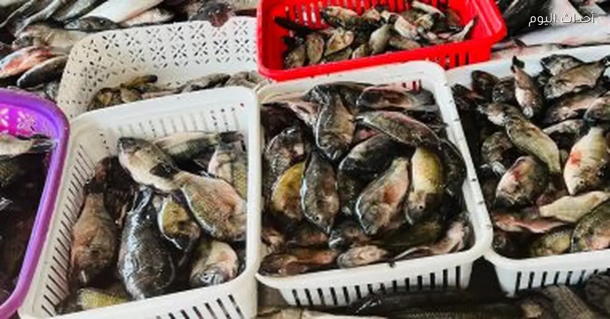 أسعار الأسماك في أسواق الإسكندرية تتذبذب بسبب نوة الفيضة الصغرى