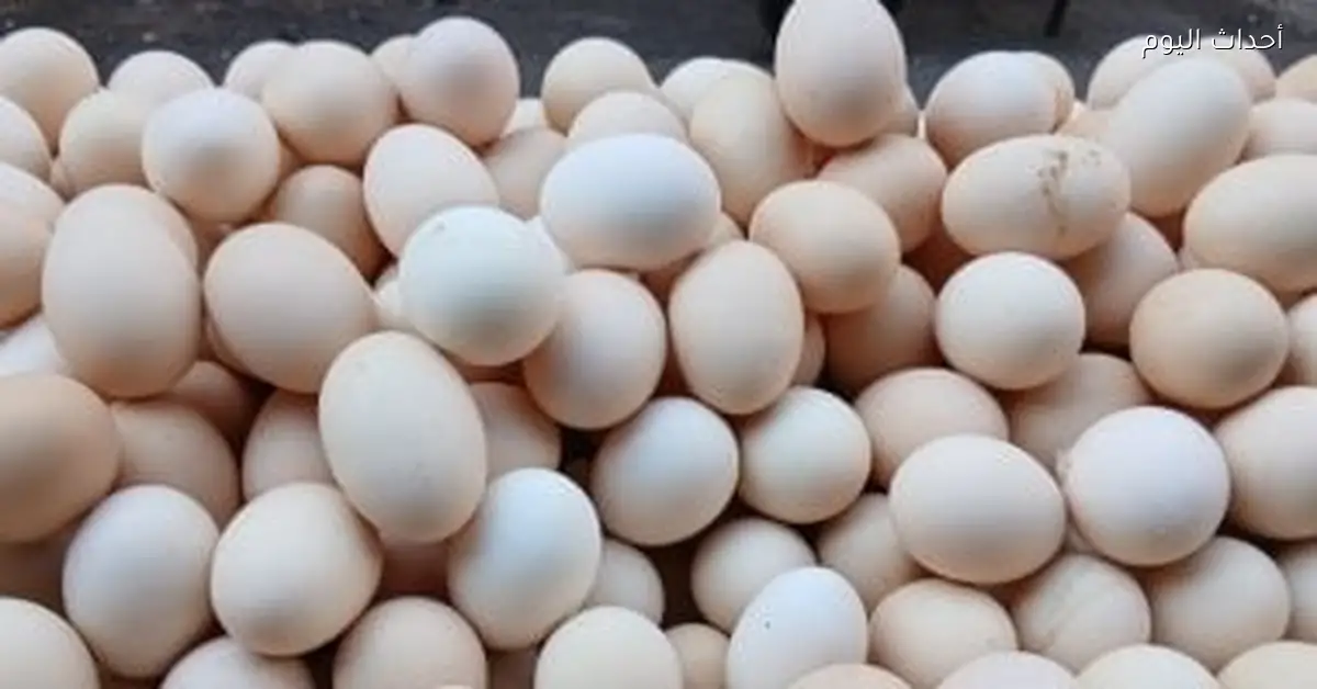 أسعار البيض في سوهاج تصل إلى 4.17 جنيه وثبات أسعار البقوليات