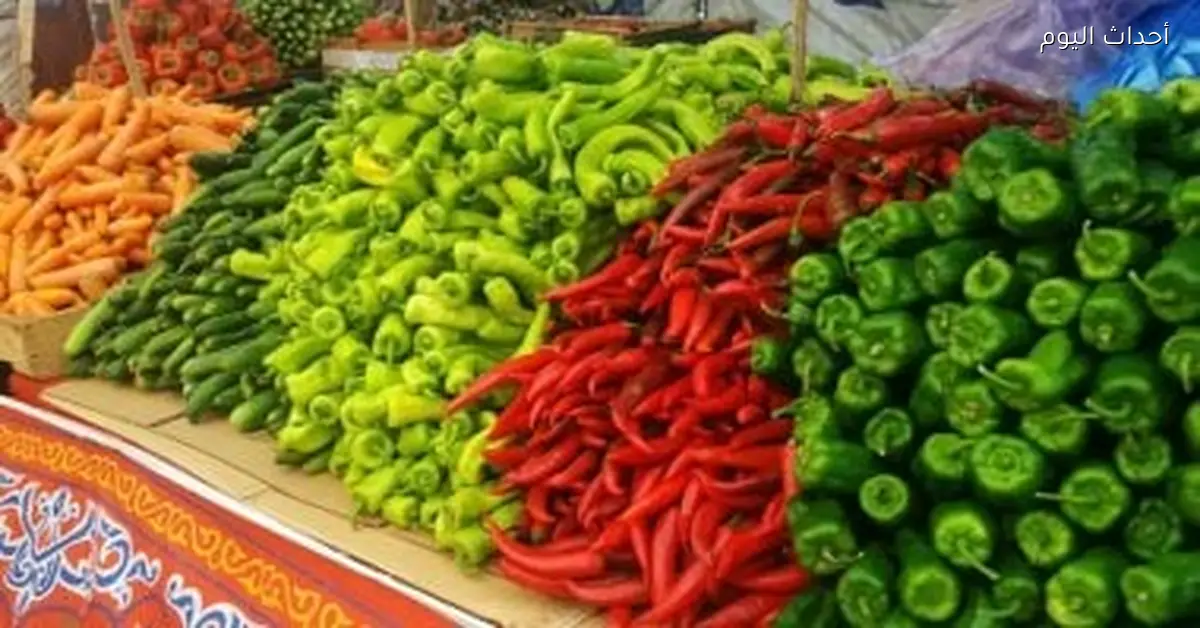 أسعار الخضراوات والفاكهة في قنا اليوم الجمعة 27 أكتوبر