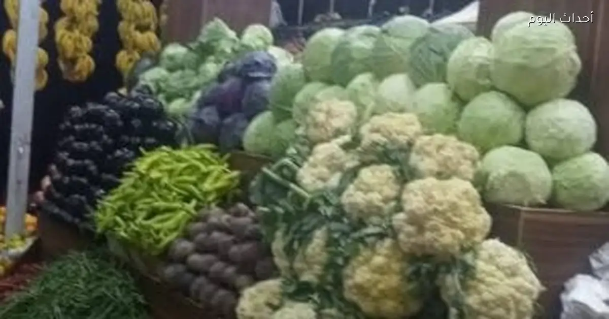 أسعار الخضراوات والفاكهة في قنا تسجل ارتفاعًا اليوم الأربعاء