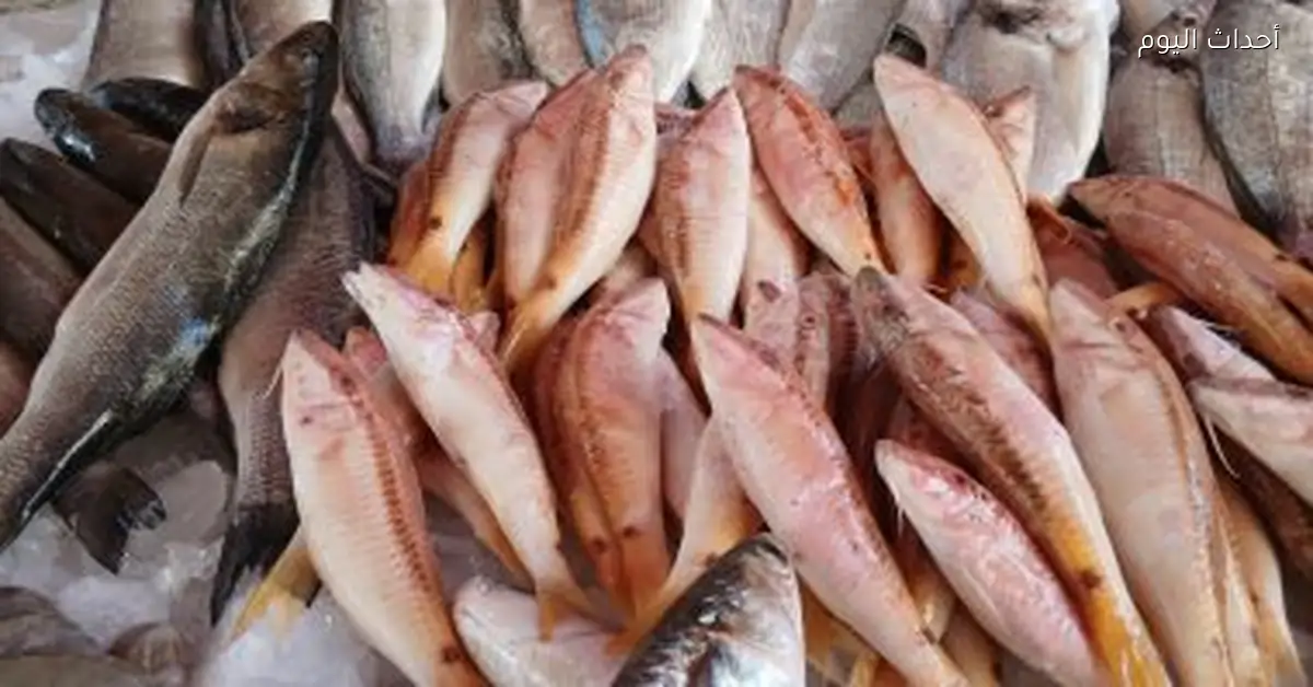 أسعار السمك في القليوبية اليوم الإثنين 15 ديسمبر 2025